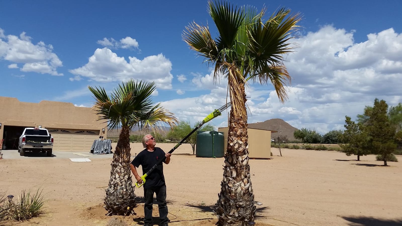 Sun Joe Corded Electric Telescoping Pole Saw, Pruning Power Tool with 10 Inch Bar, 8 Amp Power with 14 Foot Reach for Ground-Level Tree Trimming. customer photo 2