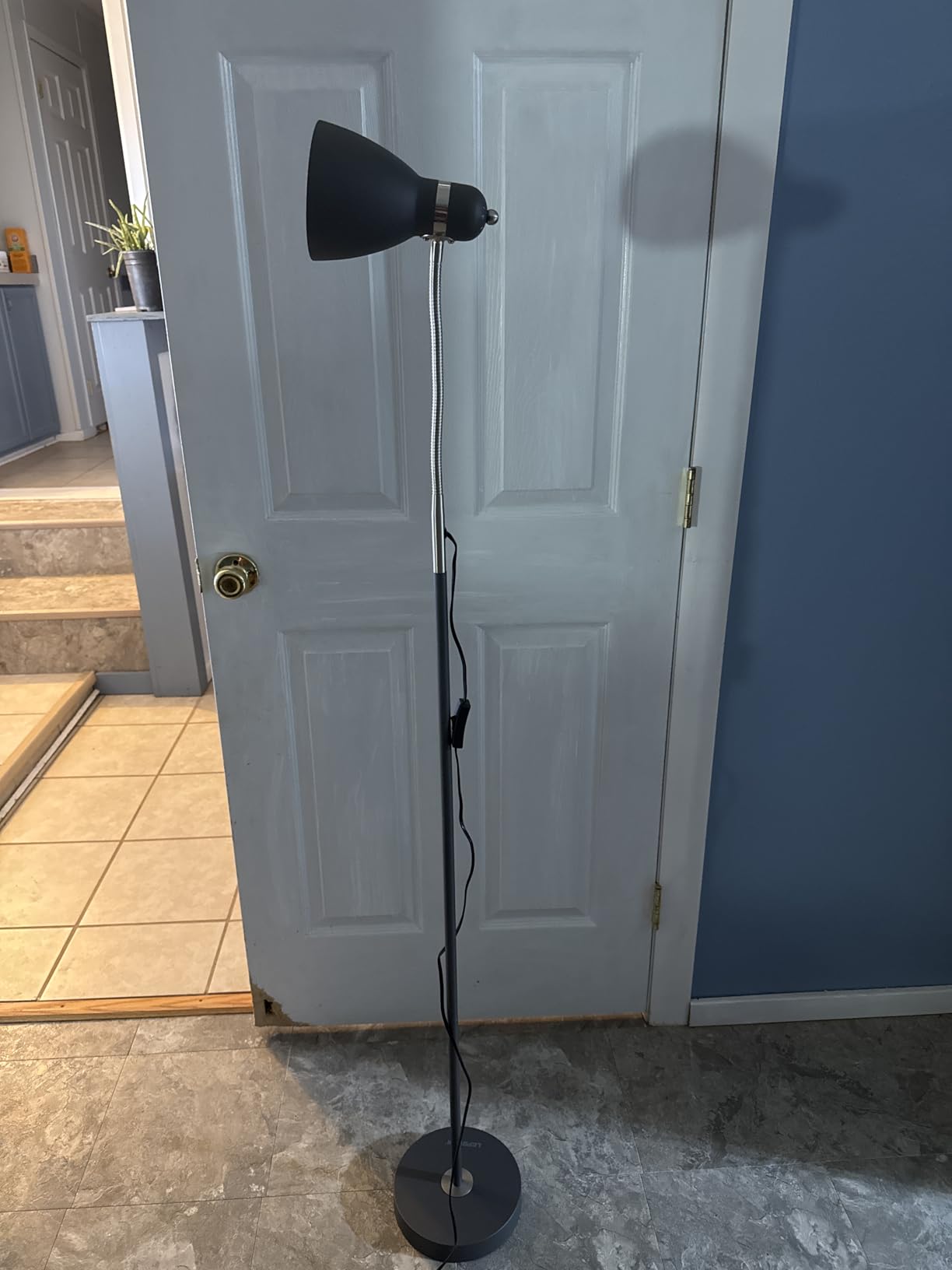 LEPOWER Floor Lamp, Metal Standing Lamp with Adjustable Gooseneck for Dorm customer photo 2