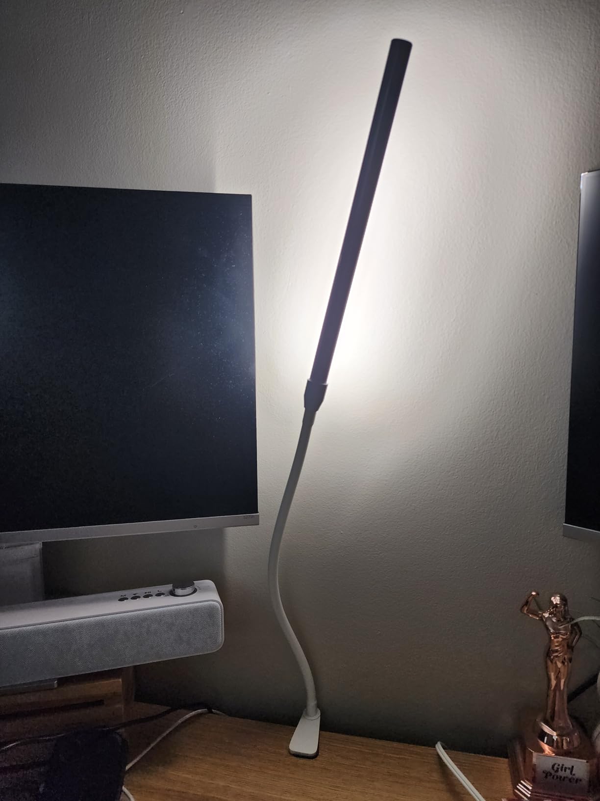 Lepro Small Desk Lamp with Clamp, LED Reading Lamps, 460LM, 5W, White | 3 Color Modes 10 Brightness, Dimmable USB Clip on Desk Light with Gooseneck Swing Arm for Nail, Home Office and Dorm customer photo 2