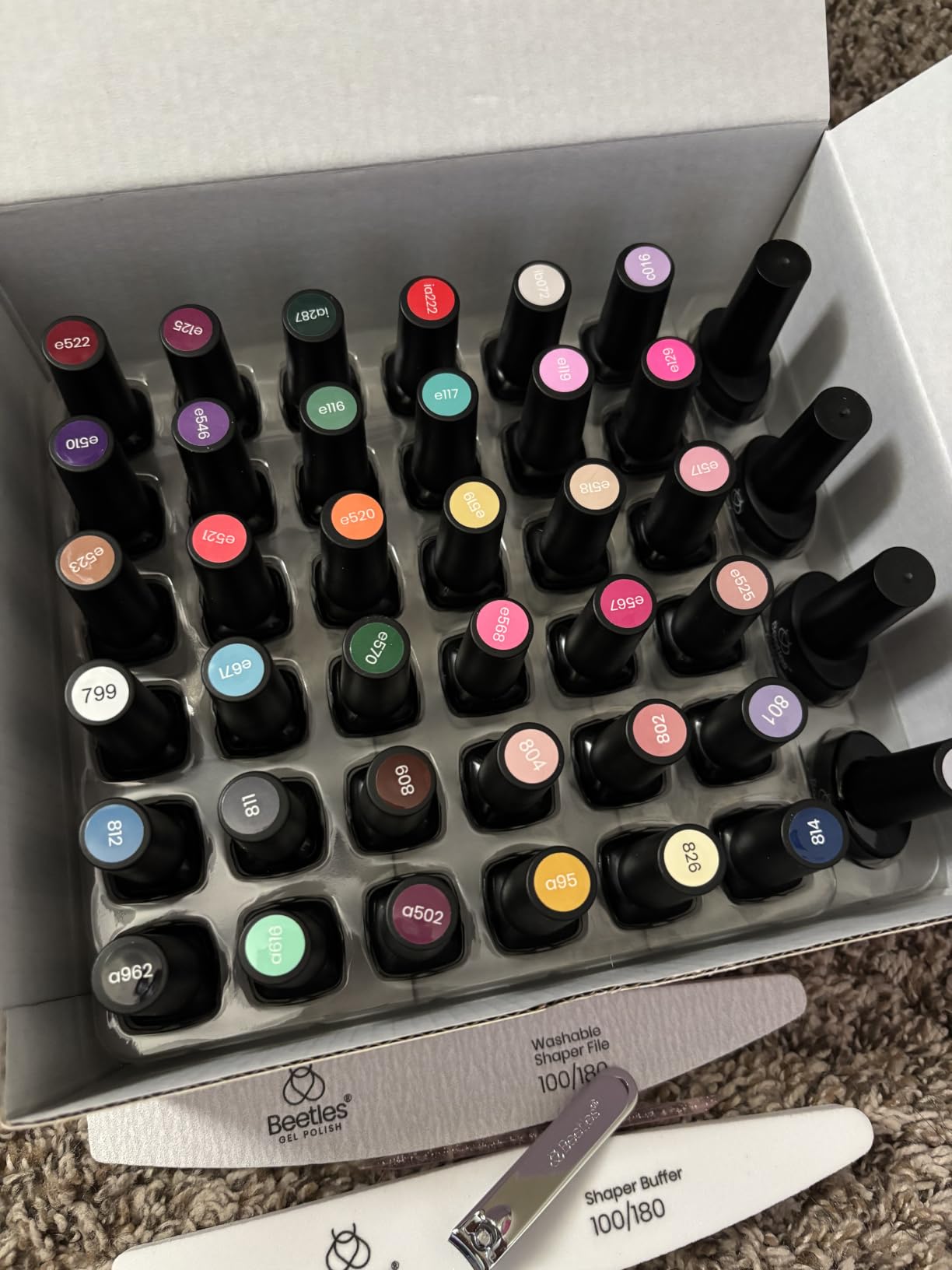 Beetles Fall Gel Nail Polish Set, 23Pcs Brown Burgundy Red Nude Pink customer photo 1