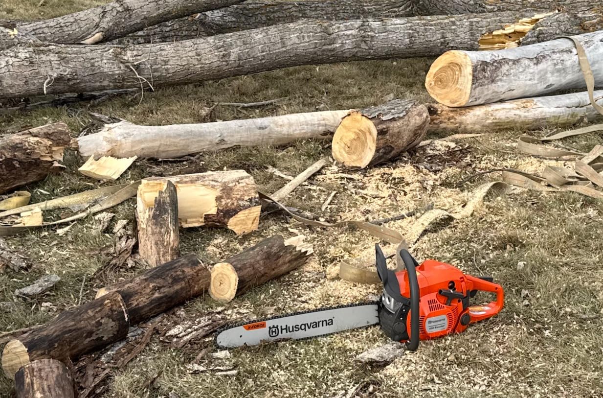 Husqvarna 450 Rancher 20 Inch Gas Chainsaw, 50.2-cc 3.2-HP, 2-Cycle X-Torq Engine, For Tree Pruning, Yard Cleanups and Firewood Cutting, 970613120 customer photo 1
