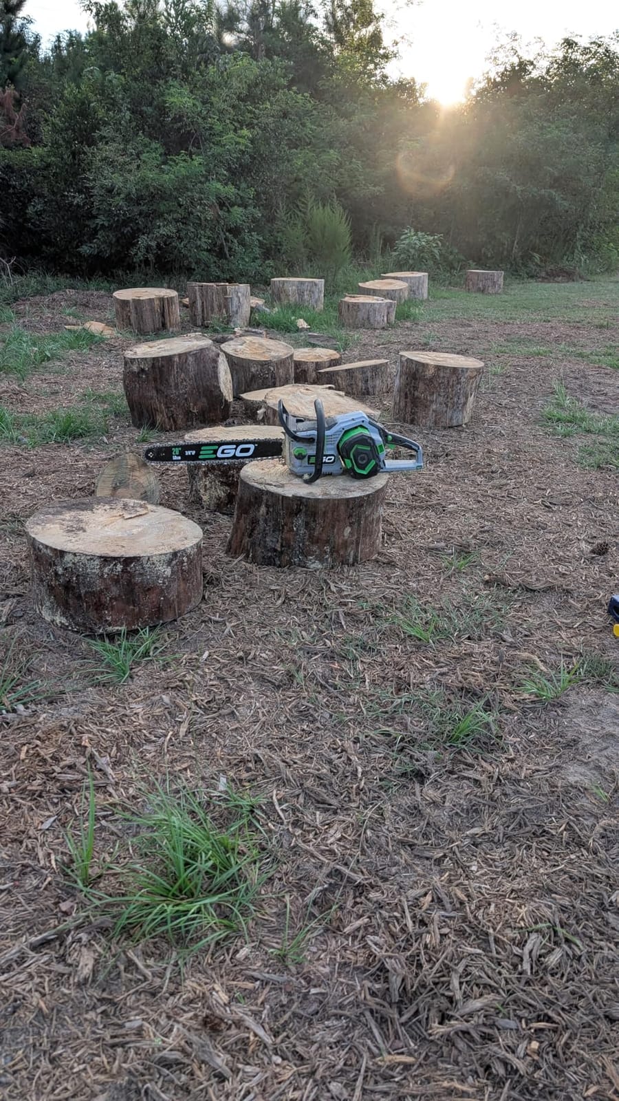 EGO POWER+ Chain Saw, 20” Battery Powered Chainsaw, Electric Cordless, Battery and Charger Not Included – CS2000 customer photo 1