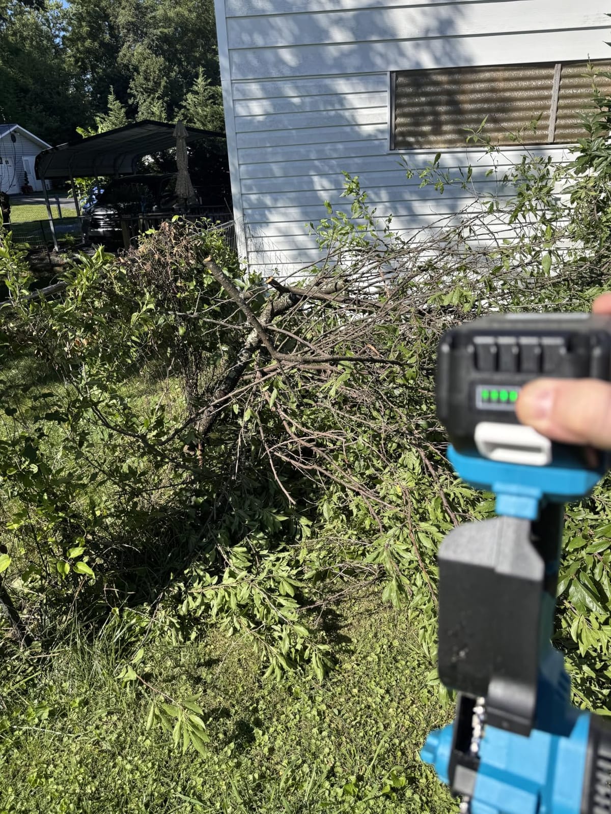 SEESII 6-Inch Mini Chainsaw Cordless with Oiler System customer photo 2
