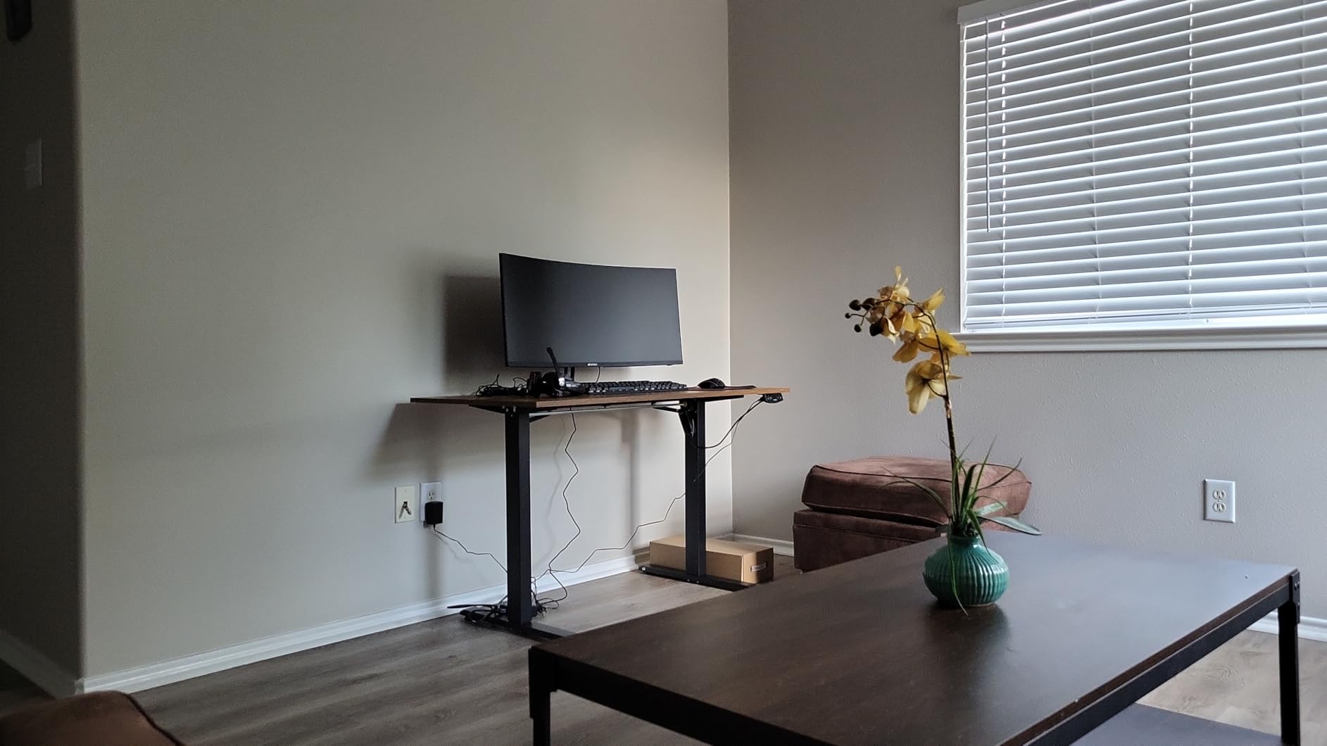 Agilestic 48*24 Inch Height Adjustable Electric Standing Desk, Rustic Brown customer photo 1