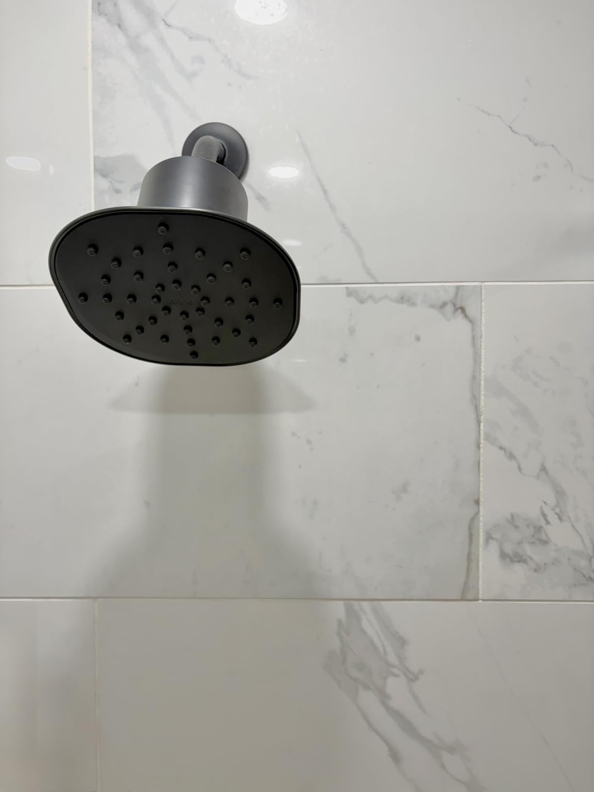 Afina Filtered Shower Head, High Pressure Rainfall (Matte Black) customer photo 2