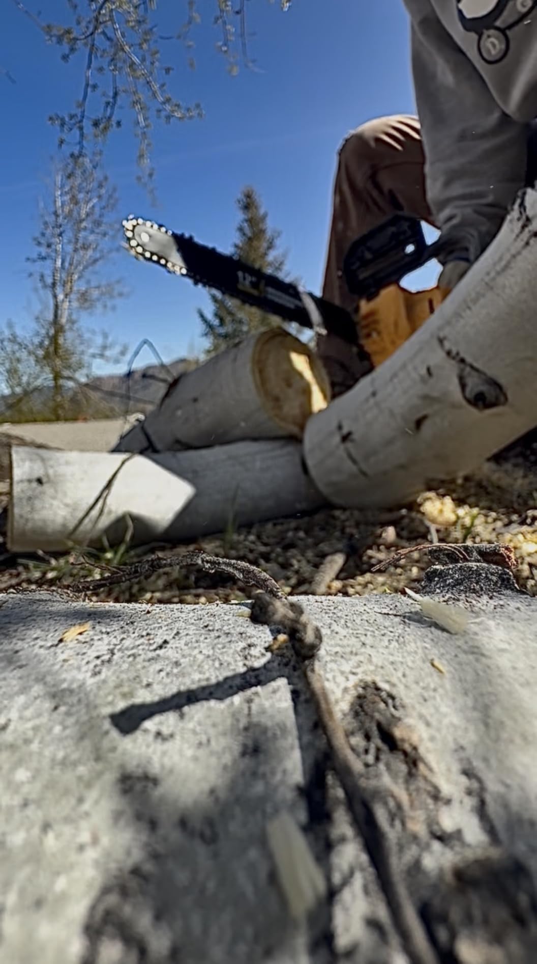 Brushless Electric Chainsaw 12