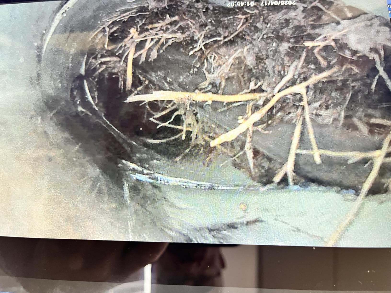 Sewer Camera 100ft for Pipe Inspection with DVR & HD Screen customer photo 1