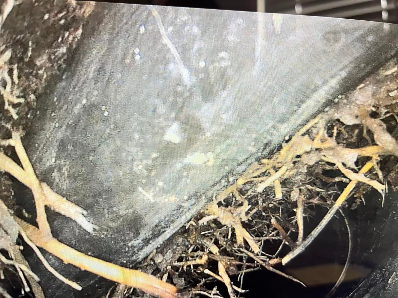 Sewer Camera 100ft for Pipe Inspection with DVR & HD Screen customer photo 2