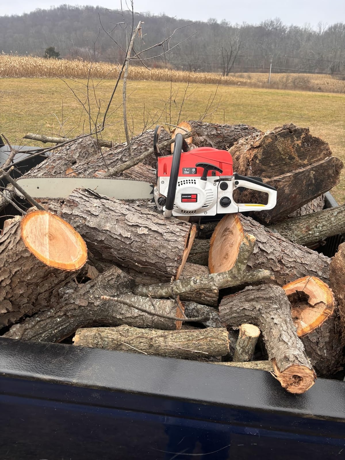 20 Inch Gas Chainsaw, 52CC Single Cylinder Air-cooled 2 Stroke Engine Gasoline Chainsaw, 2000W Portable Hand Pull Start Chain Saw for Cutting Wood Tree Trimming, 7500rpm customer photo 1