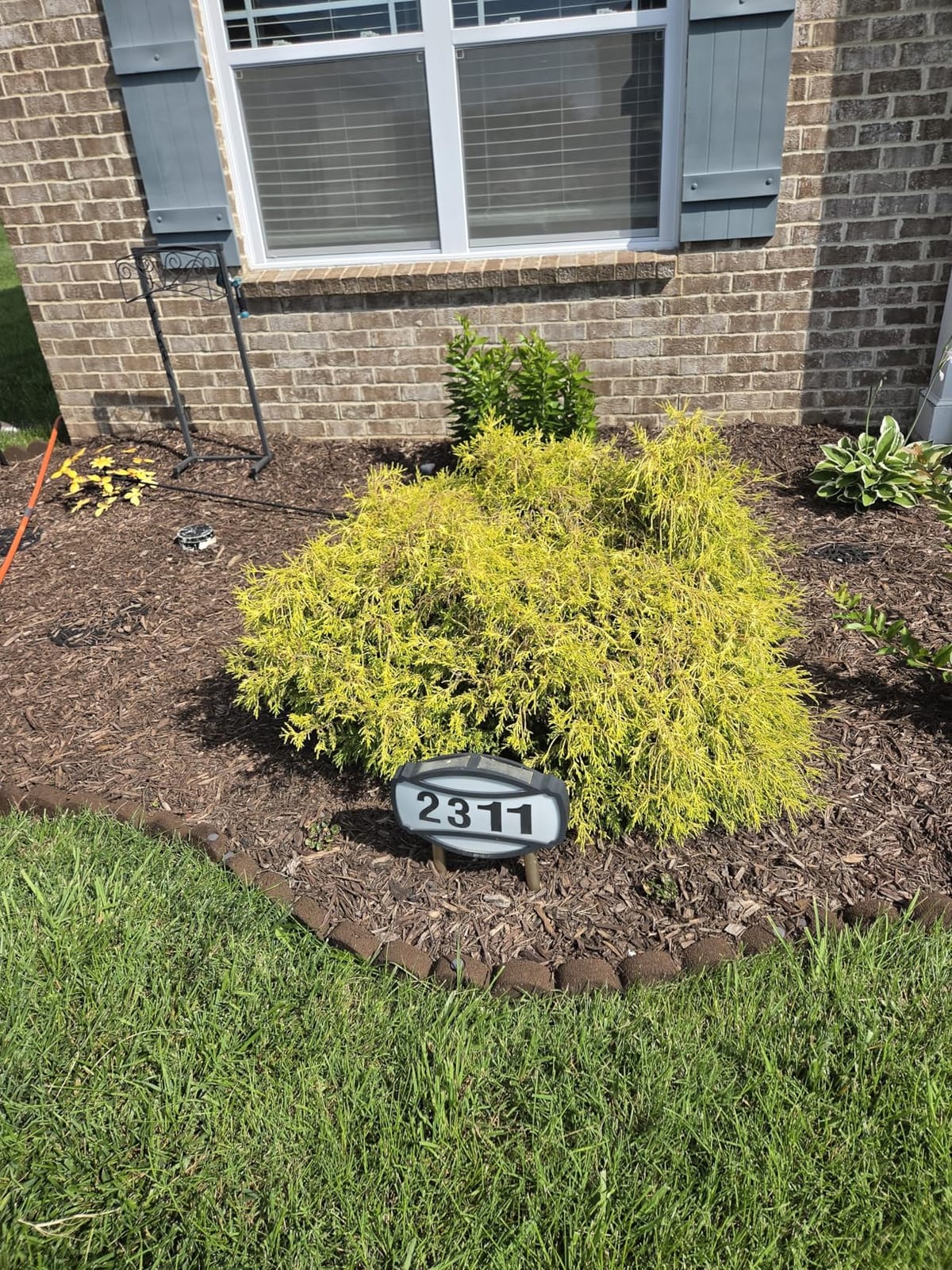 OGERY 21V Cordless Hedge Trimmer & Grass Shears, 2-in-1 Powerful Dual Batteries Electric Bush Trimmer with 8.9” Hedge Blade & 5.1” Grass Trimmer, Adjustable Angle, Lightweight for Garden & Lawn Care customer photo 1
