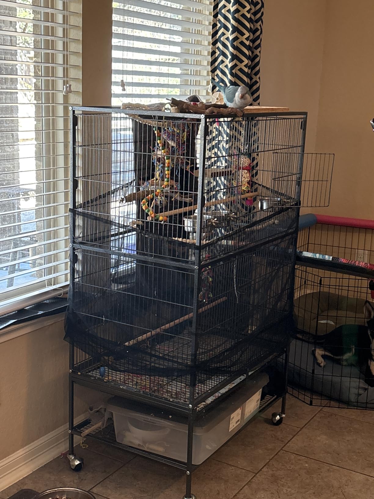 VEVOR Bird Cage, 31.5 x 20.5 x 52 inch, Flat Top, Wrought Iron Bird Flight Cage with Perches, Slide-Out Tray and Plastic Feeders, Casters, for Parrot, Blue Tit, Cockatiel, Canary, and Monk Parakeet customer photo 2