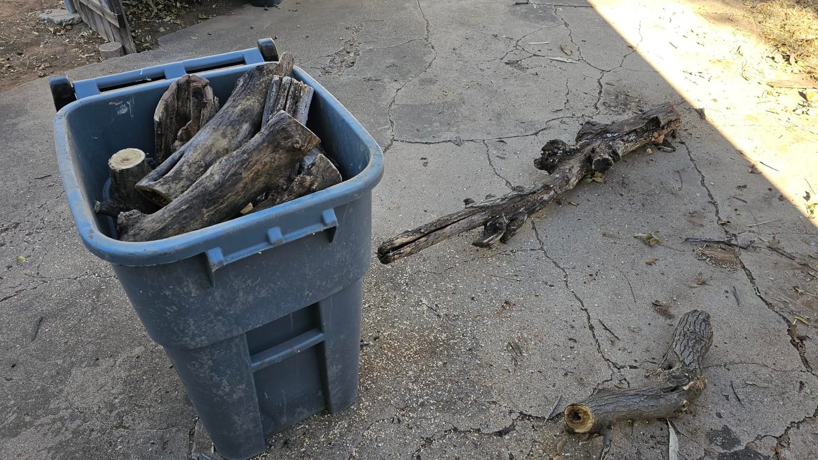 SEESII 8 Inch & 6 Inch Mini Chainsaw Cordless with 2 Batteries & Auto Oiler customer photo 2