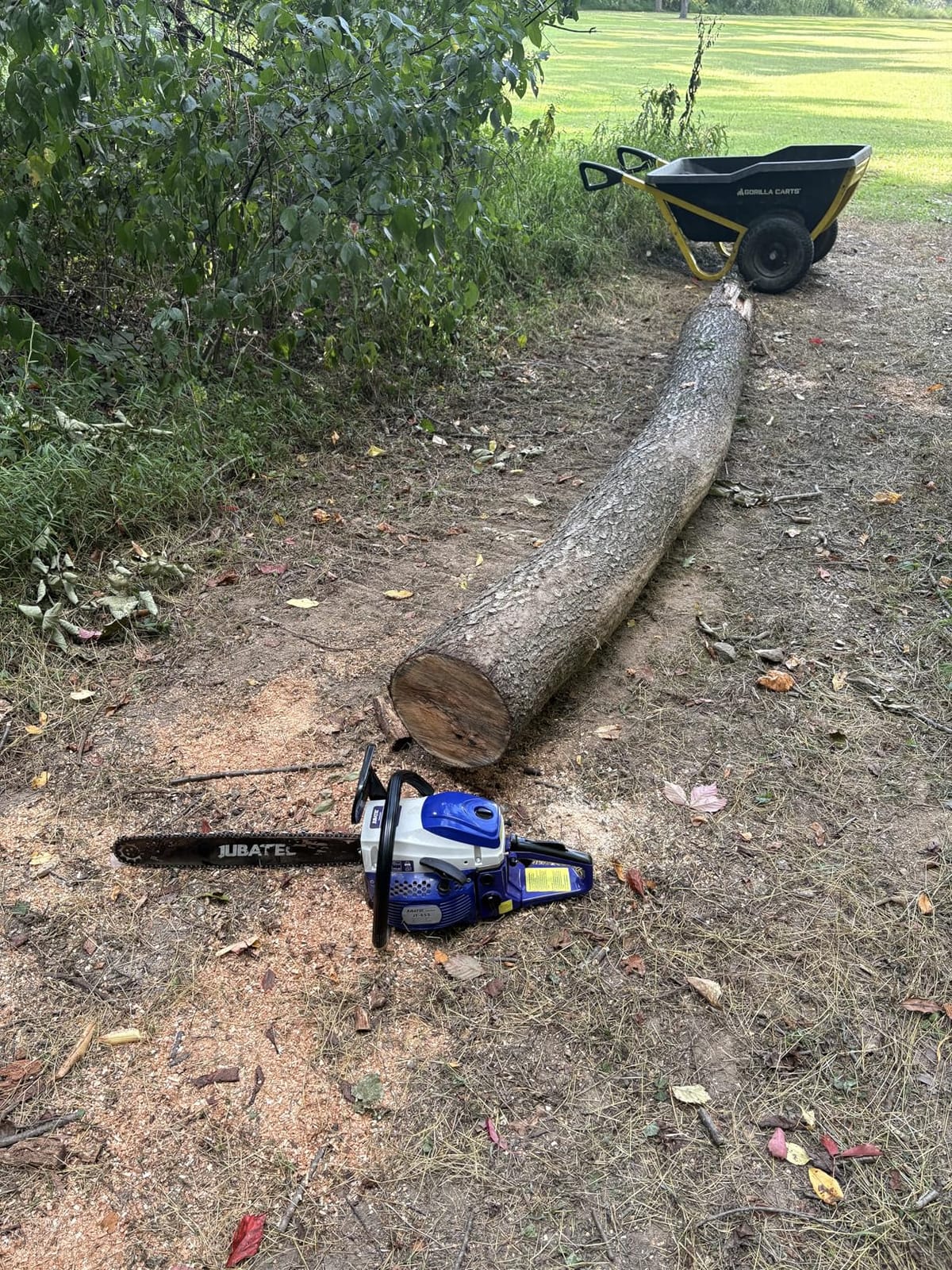 58cc Gas Chainsaw 20-Inch Guide Bar 2-Cycle Gas Powered Chain Saw customer photo 2