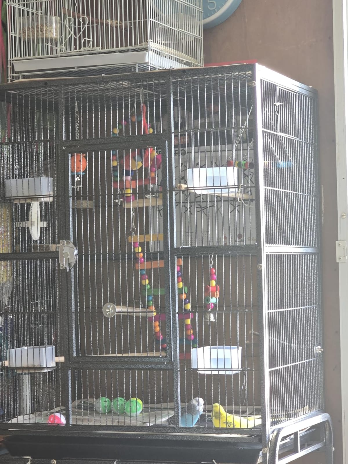Extra Large Sturdy Wrought Iron Breeding Flights Canary Parakeet Cockatiel African Grey Lovebird Finches Parrot Home Cage Double Large Front Doors 4 Side Doors Bottom Storage Shelf On Lockable Wheels customer photo 2