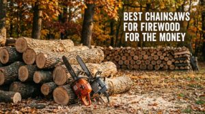 best chainsaws for firewood for the money